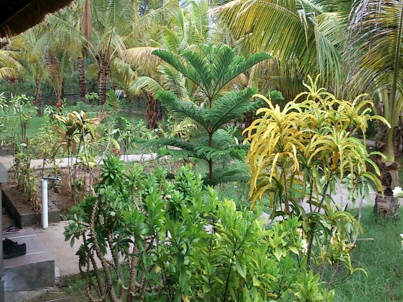 Fantastic cabañas Gili Meno Exterior foto